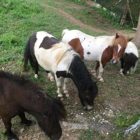 Zarragabeko Casa vacanze *